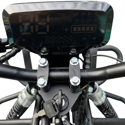Electric All-Terrain Racing Kart
